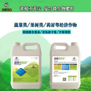 甘肅OEM/ODM貼牌工廠全指南 復合微生物肥料代加工企業大全與選擇策略